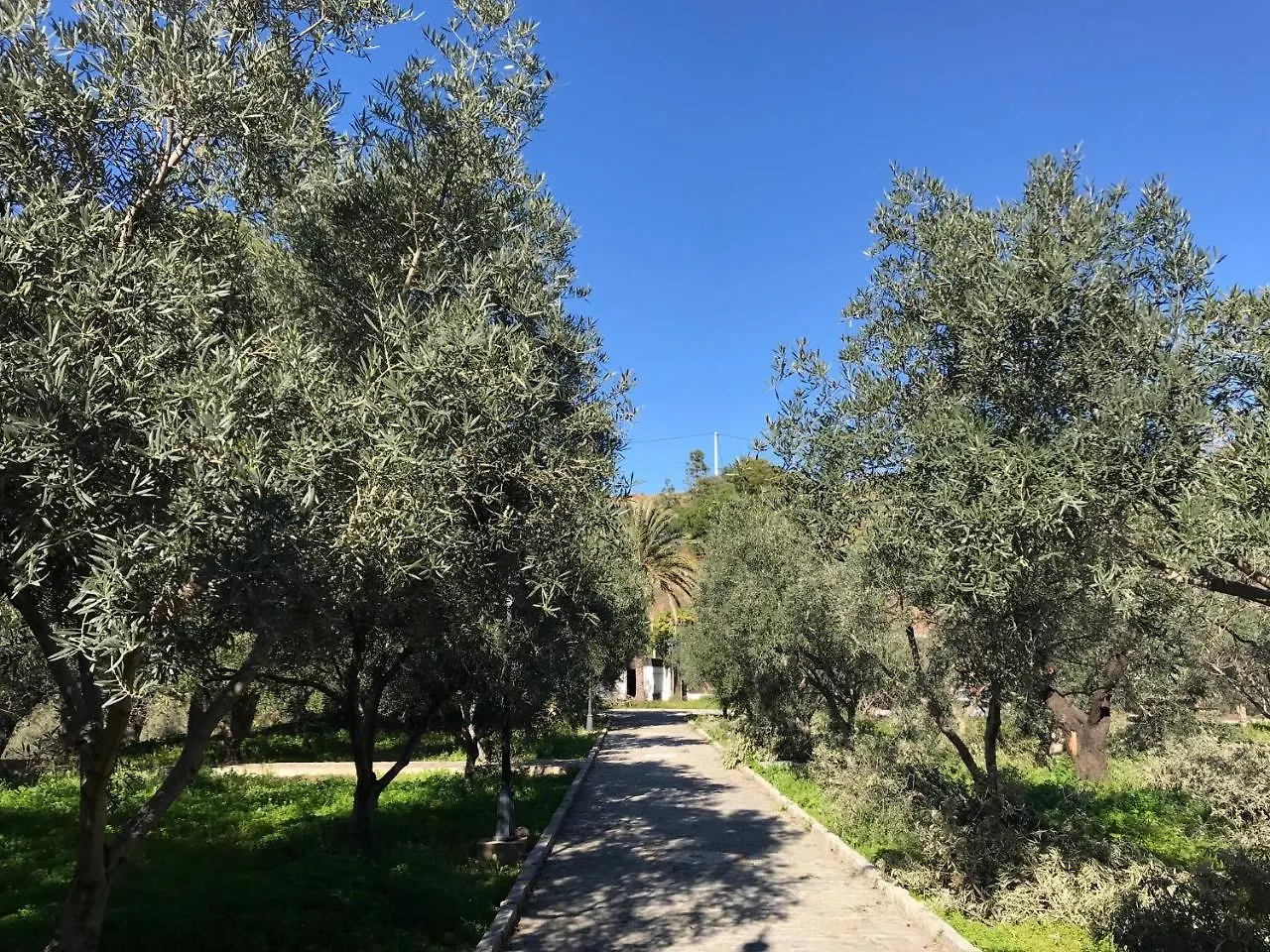 Domek letniskowy Alojamiento Con Encanto En Malaga